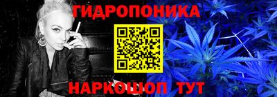 спайс Кандалакша