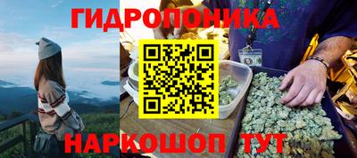 спайс Кандалакша