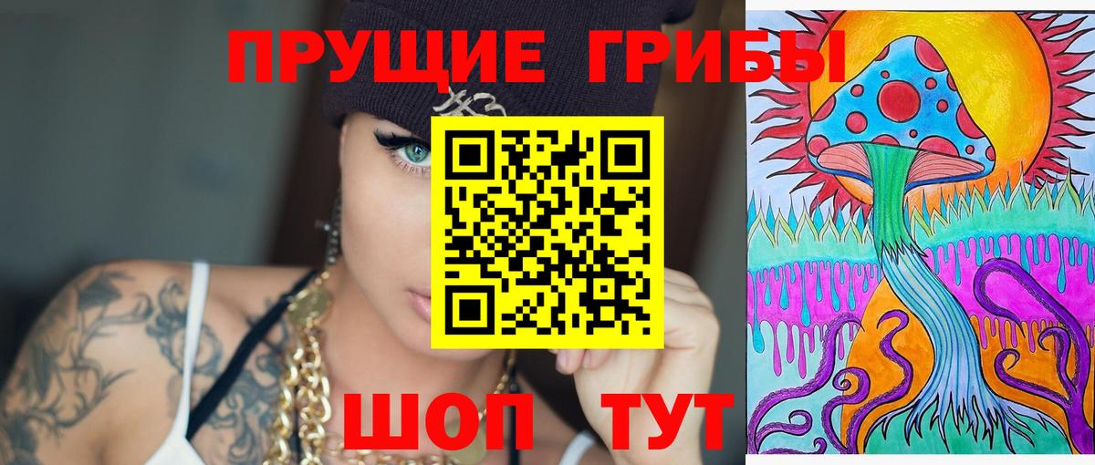 Псилоцибиновые грибы Cubensis  Псилоцибиновые грибы прущие грибы  Вход с VPN  Осинники 